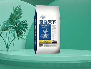 微生物菌劑-菌臨天下-恒鼎生物