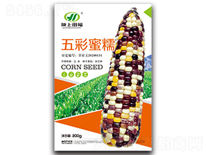 äº”å½©èœœç³¯-çŽ‰ç±³ç¨®å­-ç”°ç¦è¾²(nÃ³ng)æ¥­(yÃ¨)