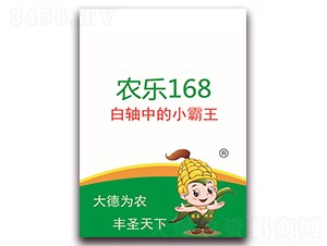 農(nóng)樂168-玉米種子-德圣種業(yè)