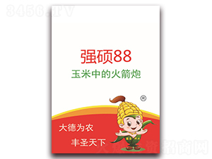 強(qiáng)碩88-玉米種子-德圣種業(yè)