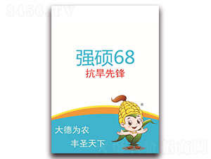 強(qiáng)碩68-玉米種子-德圣種業(yè)