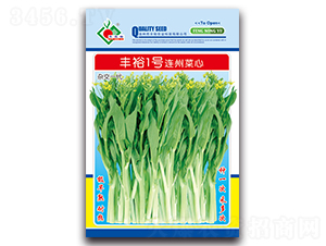豐裕1號連州菜心-菜心種子-豐裕農(nóng)業(yè)