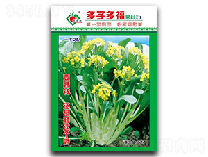 å¤šå­å¤šç¦èœè‹”F1-èœå¿ƒç¨®å­-è±è£•è¾²(nÃ³ng)æ¥­(yÃ¨)