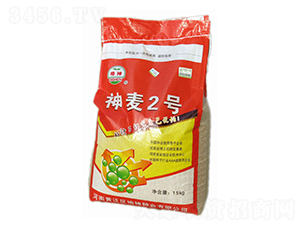 神麥2號(hào)-小麥種子-地神種業(yè)