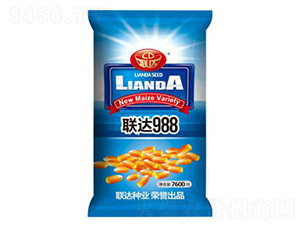 聯(lián)達(dá)988-玉米種子-聯(lián)達(dá)種業(yè)