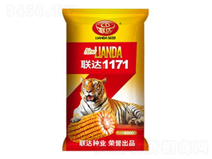 聯(lián)達1171-玉米種子-聯(lián)達種業(yè)