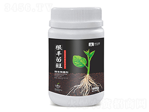 微生物菌劑-根豐苗旺-日升生物
