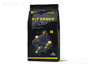 菌+礦源黃腐酸鉀-土壤全能王-日升生物