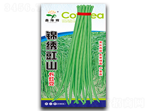 錦繡豇山長豇豆-豇豆種子-豫輝種業(yè)