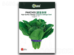 速生快翠-小白菜種子-國(guó)研種業(yè)