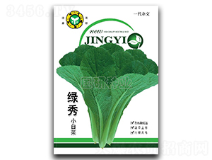 綠秀-小白菜種子-國研種業(yè)
