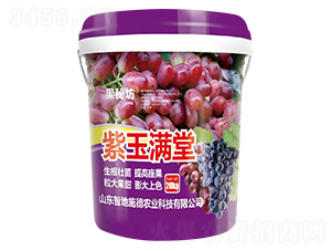 紫玉滿(mǎn)堂-果秘坊-億航
