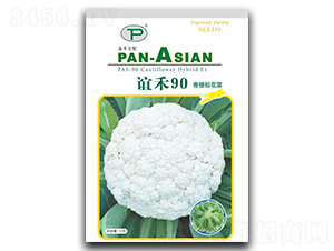 誼禾90-松花菜種子-誼禾