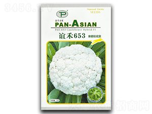 èª¼ç¦¾653-æ¾èŠ±èœç¨®å­-èª¼ç¦¾