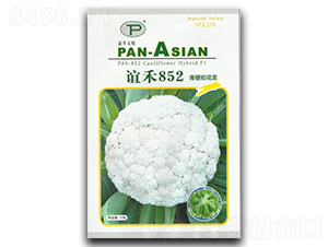 誼禾852-松花菜種子-誼禾