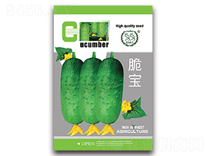 脆寶-黃瓜種子-豐農(nóng)農(nóng)業(yè)