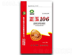 正玉106-玉米種子-豫鑫博
