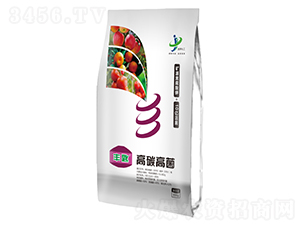 高碳高菌肥-豐匙-金牌化工