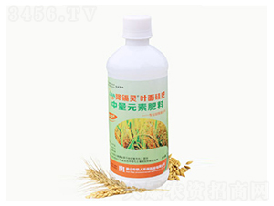 水稻型葉面硅肥-降鎘靈-鐵人環(huán)保