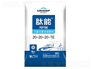 å¤§é‡å…ƒç´ æ°´æº¶è‚¥æ–™20-20-20+TE-è‚½èƒ½-è¯(liÃ¡n)åˆåˆ©è¾²(nÃ³ng)