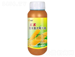 玉米拉長膨大精華液-浩達