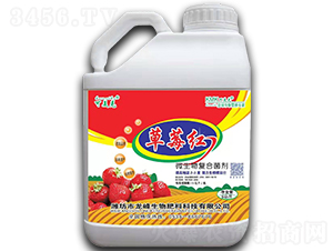 草莓紅（微生物復(fù)合菌劑）-可美克-龍峰生物