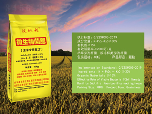 玉米專(zhuān)用微生物菌肥20-4-6-欣地利-澤善生物