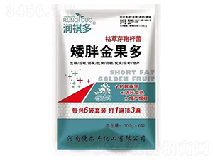 矮胖金果多-潤祺多-捷爾豐