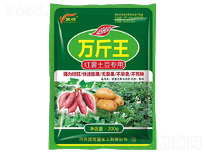 ç´…è–¯åœŸè±†å°ˆ(zhuÄn)ç”¨è¬(wÃ n)æ–¤çŽ‹-æ·ç¢©-æ·çˆ¾è±