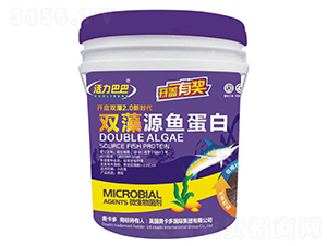 é›™è—»æºé­šè›‹ç™½ï¼ˆä¿ƒæ ¹ï¼‰-æ´»åŠ›å·´å·´-å¥§å¡å¤š