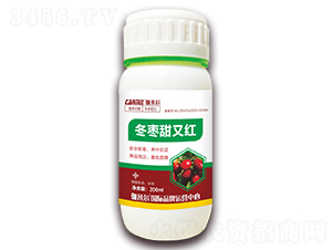 冬棗甜又紅-伽米爾-木禾佳寶