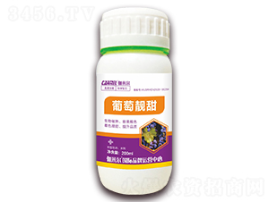 葡萄靚甜-伽米爾-木禾佳寶