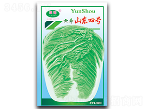 云壽山東四號-白菜種子-云壽