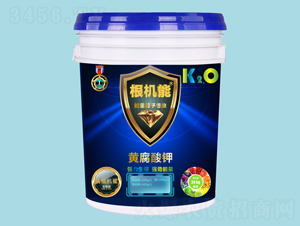 é»ƒè…é…¸é‰€ï¼ˆæ¡¶ï¼‰-æ ¹æ©Ÿèƒ½-çš‡æ¬£åŒ–å·¥