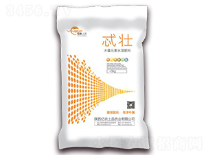 å¤§é‡å…ƒç´ æ°´æº¶è‚¥-å¿’å£¯-å„„è¾²(nÃ³ng)ä¸Šå“