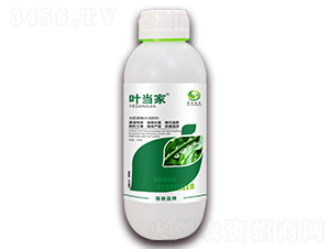 含氨基酸水溶肥料-葉當(dāng)家-強森農(nóng)科