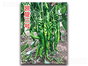 凱旋三號-螺絲椒種子-南澳綠亨