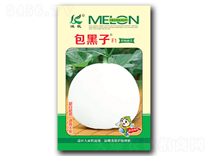 包黑子-甜瓜種子-農(nóng)得豐農(nóng)業(yè)