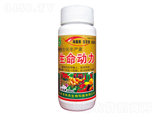 植物生長豐產(chǎn)素-生命動(dòng)力-華杰生物