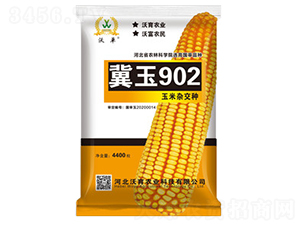 冀玉902-玉米種子-沃育農(nóng)業(yè)