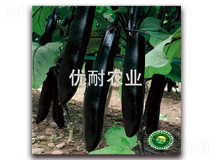 優(yōu)耐墨茄1018-茄子種子-優(yōu)耐農業(yè)
