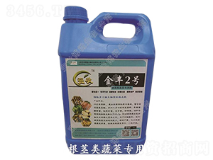 根莖類蔬菜專用微生物有機(jī)液體肥-強(qiáng)敬-寶世博