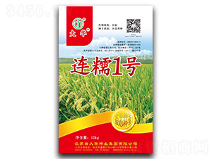 連糯1號-水稻種子-大華種業(yè)
