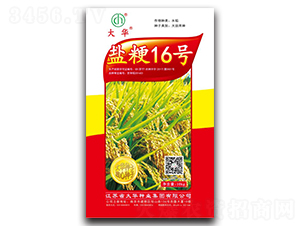 鹽粳16號-水稻種子-大華種業(yè)