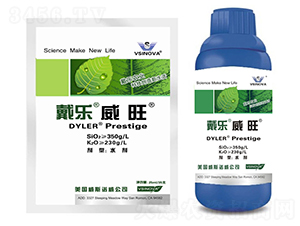 æˆ´æ¨‚å¨æ—º-å¨æ–¯è«¾å¨