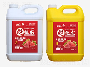 草莓專用水溶肥-一液發(fā)-匯豐農(nóng)業(yè)