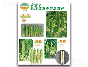 十國(guó)+明朝+宋朝-苦瓜種子-農(nóng)運(yùn)來(lái)