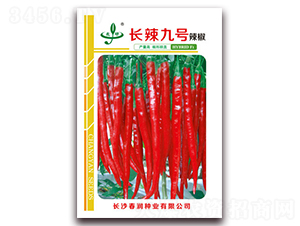 長辣九號-辣椒種子-春潤種業(yè)