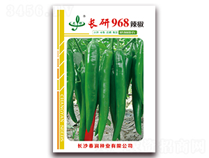 長研968-辣椒種子-春潤種業(yè)