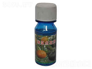 南瓜點(diǎn)花藥-農(nóng)伯樂(lè)